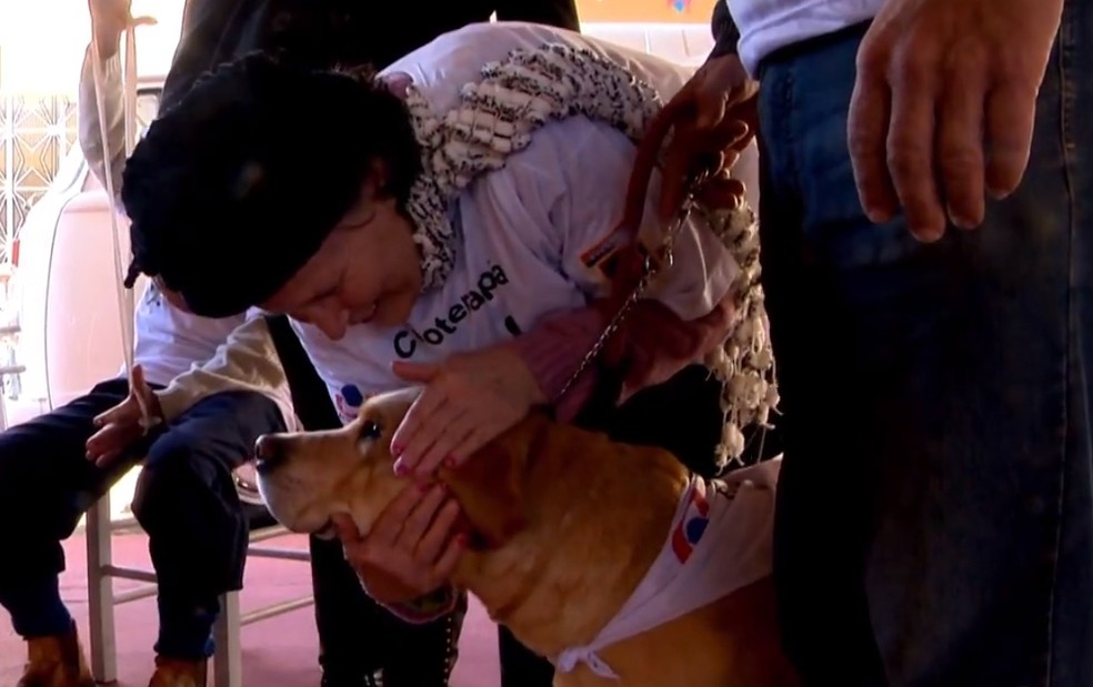Lígia Hartmann chama o cão de 'amorzinho' (Foto: Reprodução/RBS TV)