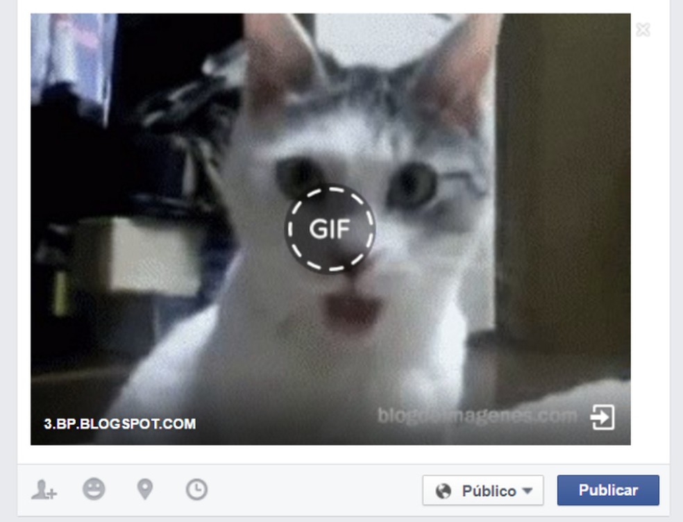 A função de GIFs foi disponibilizada em 2017 — Foto: Divulgação/Facebook