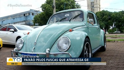 Dia do Fusca: colecionadores falam sobre o amor pelo carro que atravessa gerações