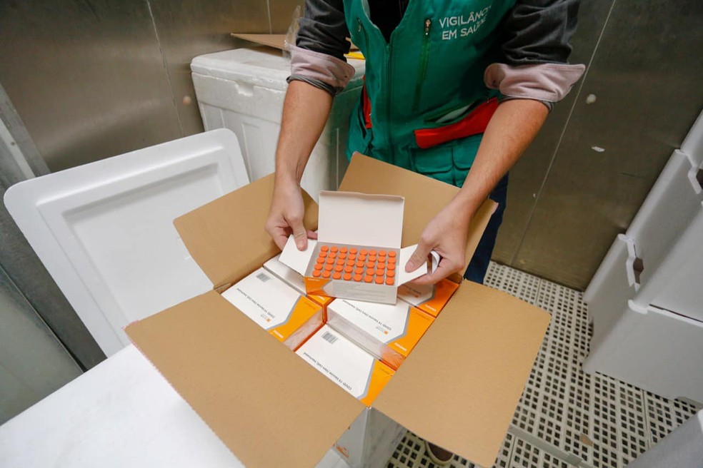 Novo lote com 32.600 doses da CoronaVac chega ao Ceará na madrugada desta sexta-feira (9). — Foto: Governo do Estado/ Divulgação