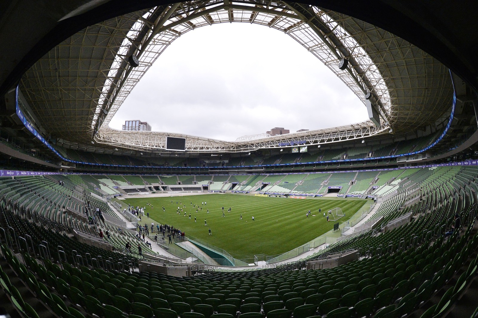 Palmeiras estreia grama artificial com treino na arena; veja fotos