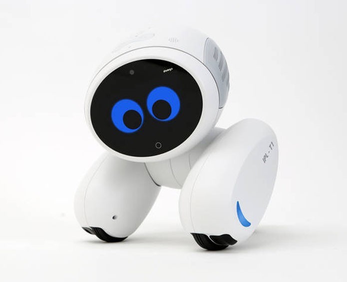 Domgy é um robô para tarefas domésticas (Foto: Divulgação/Roobot)