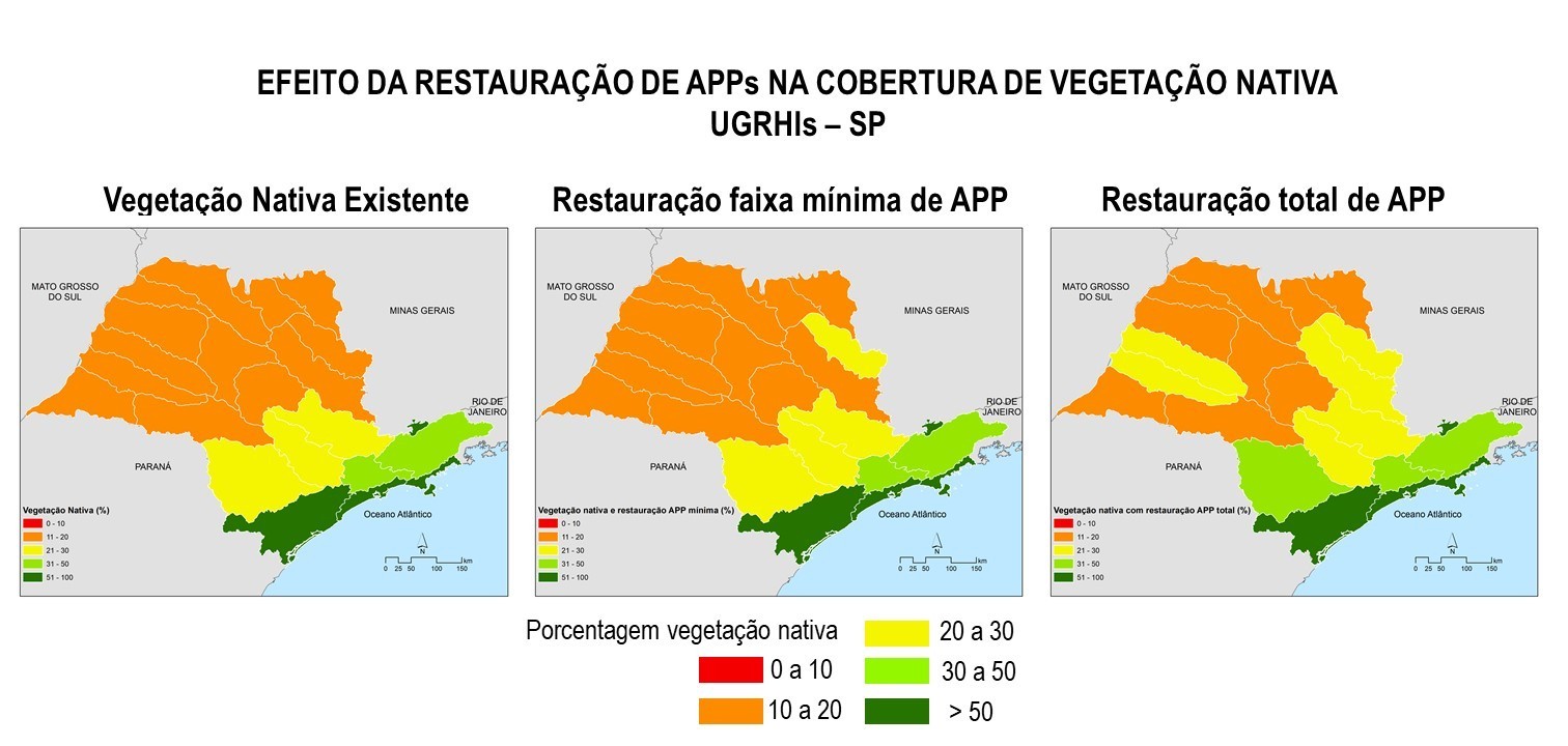 Efeito da restauração de APPs na cobertura de vegetação nativa nos municípios do estado de São Paulo (Foto: Reprodução/GeoLab e SOS Mata Atlântica)