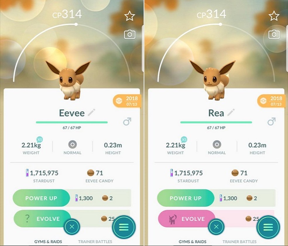 Como Evoluir Eevee Para Glaceon Em Pokemon Go Jogos De Aventura Techtudo Here's everything you need to know about if you want to get a pokemon go leafeon and glaceon combo going, you'll need to catch eevees first. como evoluir eevee para glaceon em