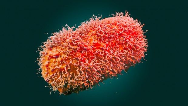 Vírus da varíola dos macacos infectando célula (Foto: NIAID NIH EUA)