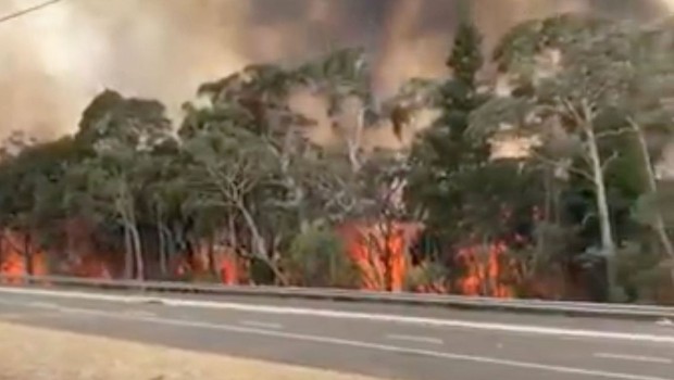 Incêndios na Austrália (Foto: NSW RURAL FIRE SERVICE)