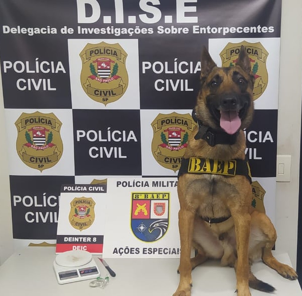 Homem foi preso em Presidente Prudente (SP) nesta sexta-feira (8) — Foto: Polícia Civil