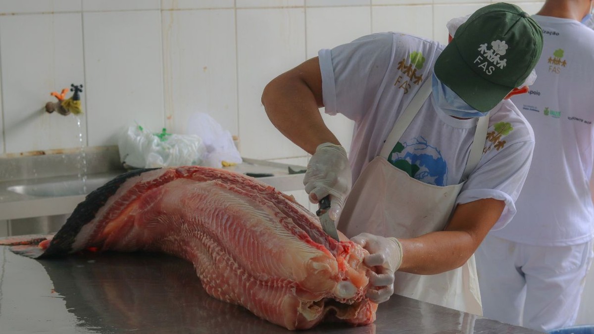 FAS realiza Feira do Pirarucu com pre&ccedil;os a partir de R$ 7, em Manaus |  Amazonas | G1