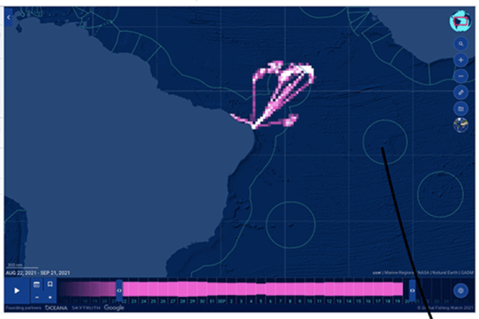 Controle: disponibilizado pela Global Fishing Watch, mapa apresenta as áreas de atuação das frotas participantes do Open Tuna. — Foto: Reprodução/OpenTuna