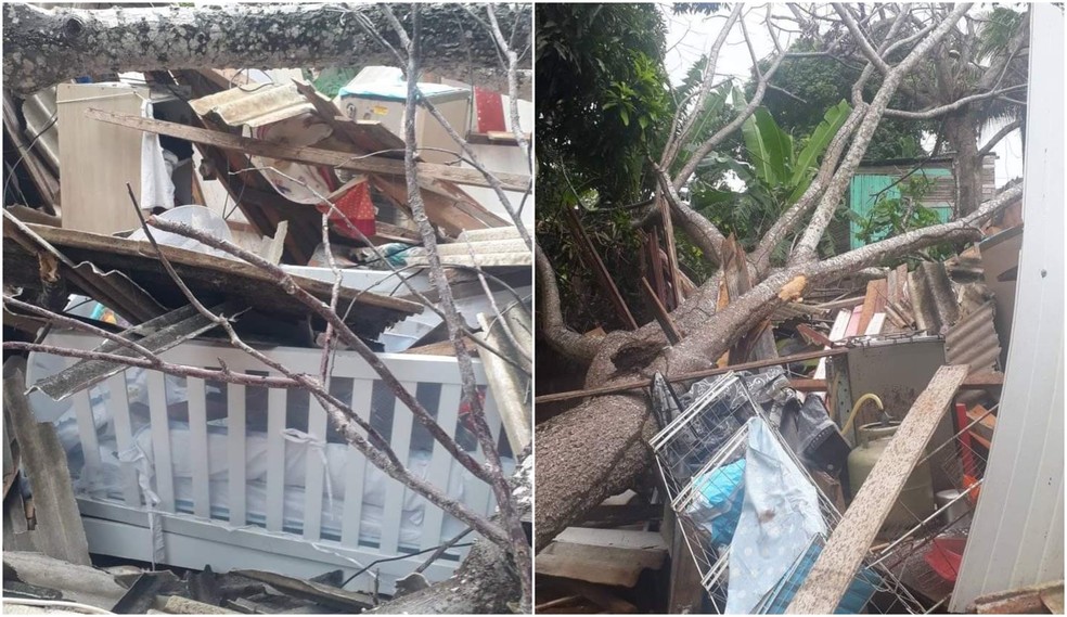 Casa ficou destruída após ser atingida por árvore em Rio Branco — Foto: Arquivo pessoal