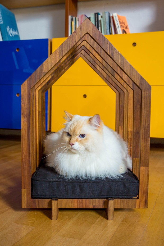 Designers brasileiros criam mobiliário sustentável para pets (Foto: Divulgação)