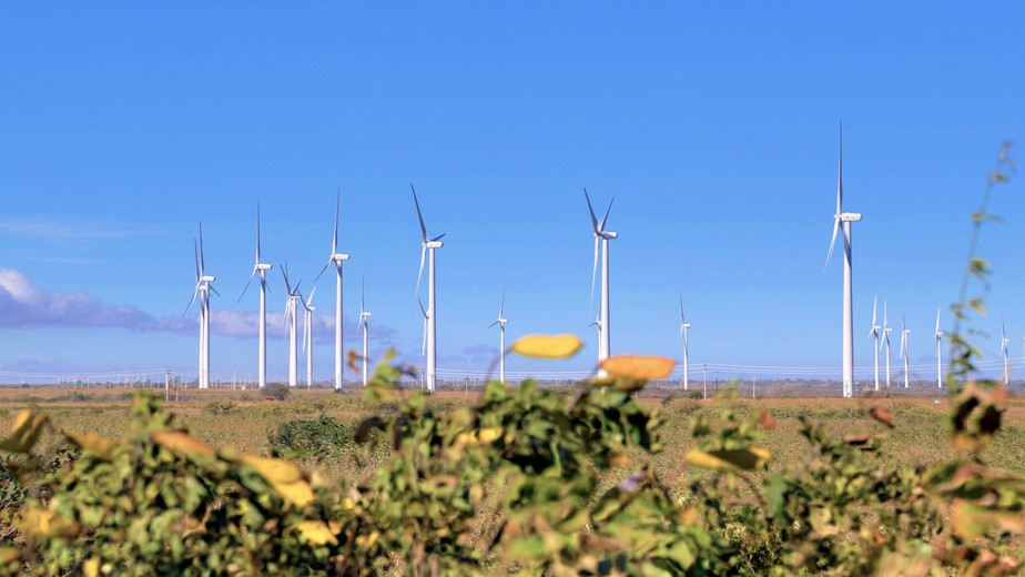 Parque eólico da Casa dos Ventos, no Piauí