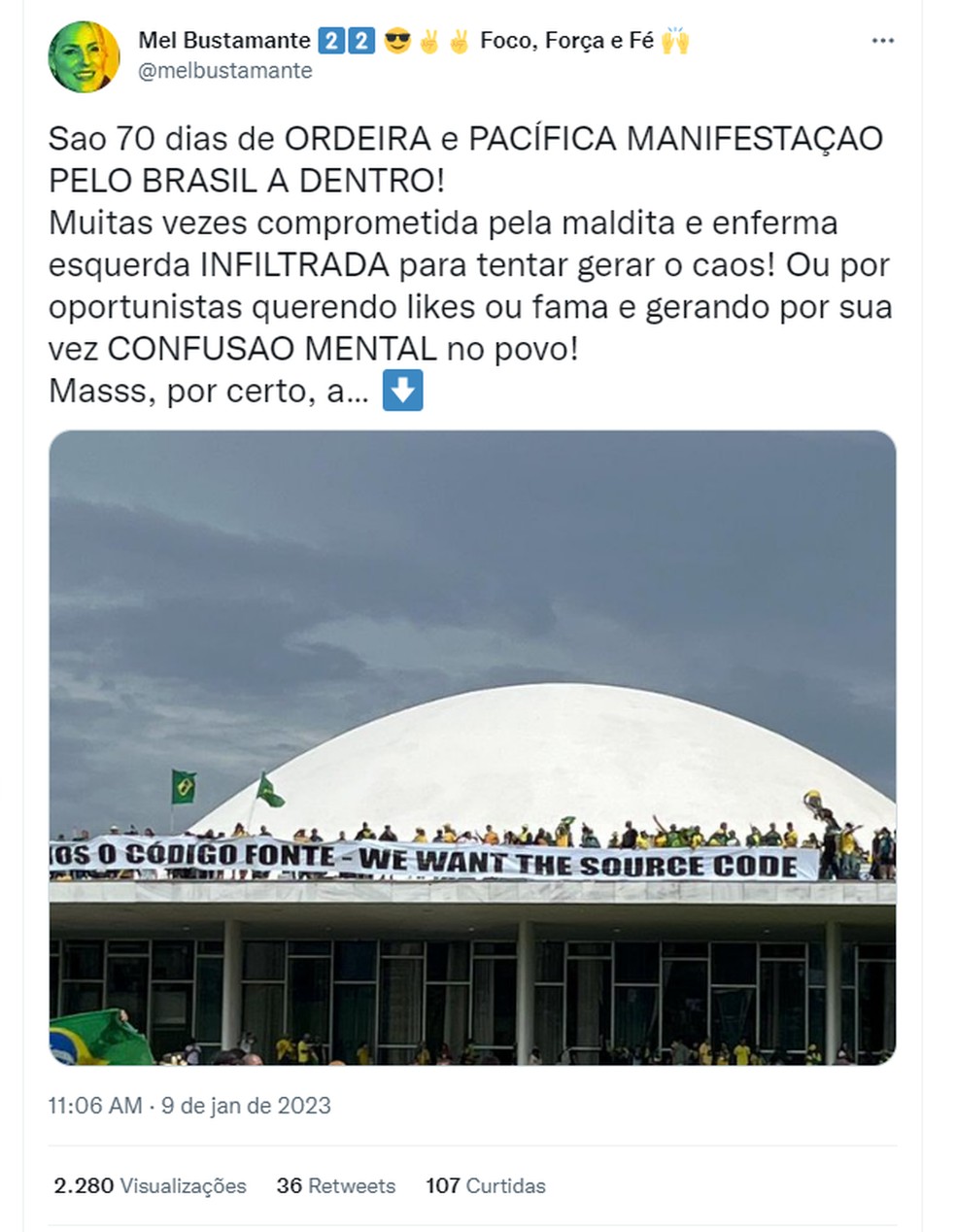 Usuária no Twitter diz que danos causados durante a invasão de Brasília foi feita por "infiltrados" — Foto: Reprodução / Twitter 