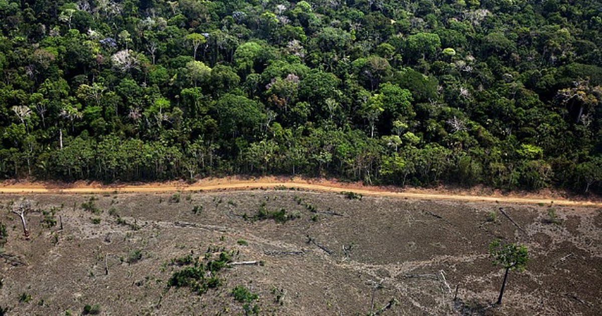 Governo reforça combate ao desmatamento ilegal no município de Colniza em  audiência pública :: Notícias do Agronegócio - AgroOlhar