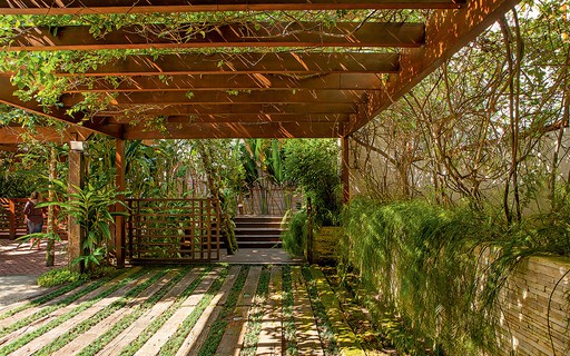 13 plantas para cobrir o pergolado - Casa e Jardim | Paisagismo