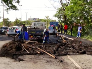 Funcionários da Prefeitura limparam local (Foto: Cadu Alves/Inter Tv)