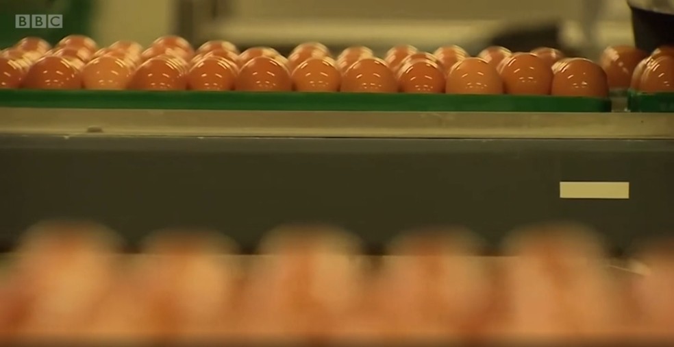 Como Os Ovos Ajudam A Nos Proteger Da Gripe Gripe G1