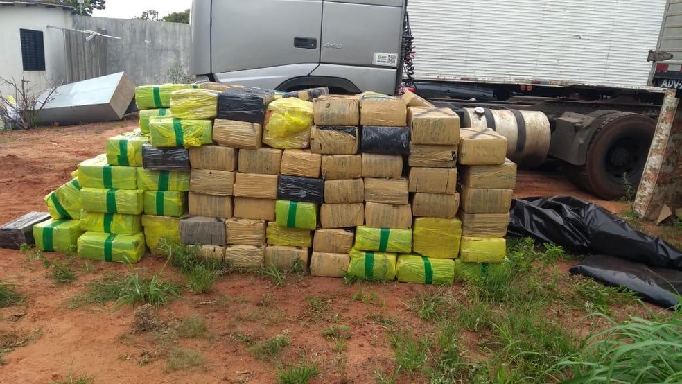 Droga apreendida estava camuflada em meio a repolhos, diz delegado em MS — Foto: Polícia Civil/Divulgação