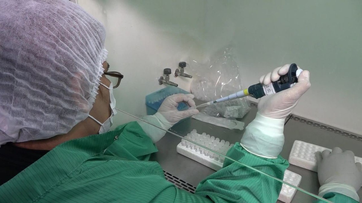 Após apelo da OMS para testes em massa, Brasil mantém foco nos casos graves e diz estudar importação de kits rápidos