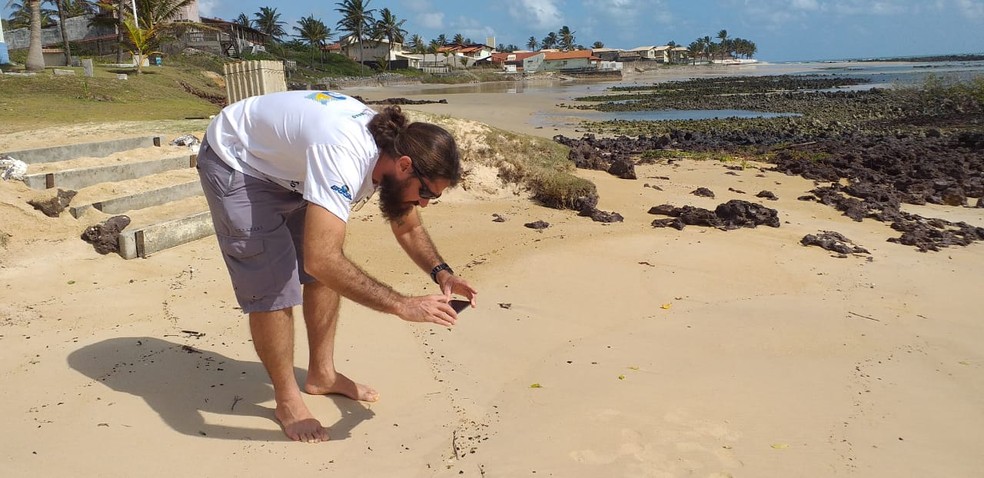 Aplicativo Mar Limpo vai ajudar no monitoramento da manchas de óleo no litoral potiguar — Foto: ONG Oceânica