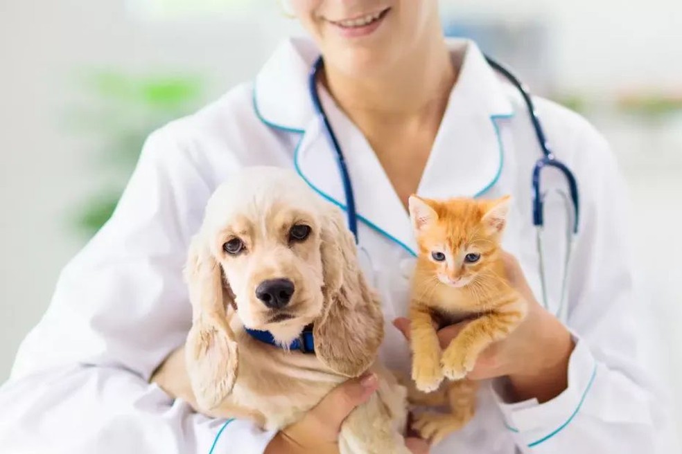 Mulher segura cachorro e gato no colo, em imagem de arquivo — Foto: Divulgação