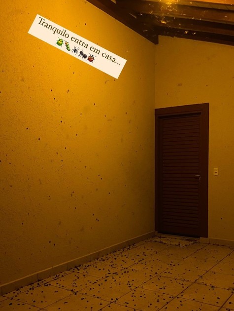 José Loreto mostra porta de casa cercada por insetos (Foto: Reprodução)