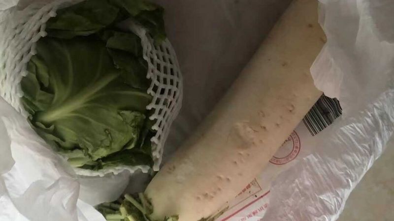 Uma moradora grávida de Xangai recebeu esses vegetais como entrega de comida (Foto: Supplied via BBC News)