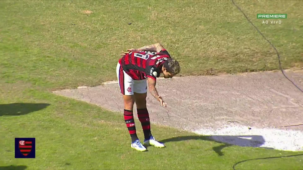 Melhores momentos de Ava&iacute; 1 x 2 Flamengo pela 19&ordf; rodada do Brasileir&atilde;o