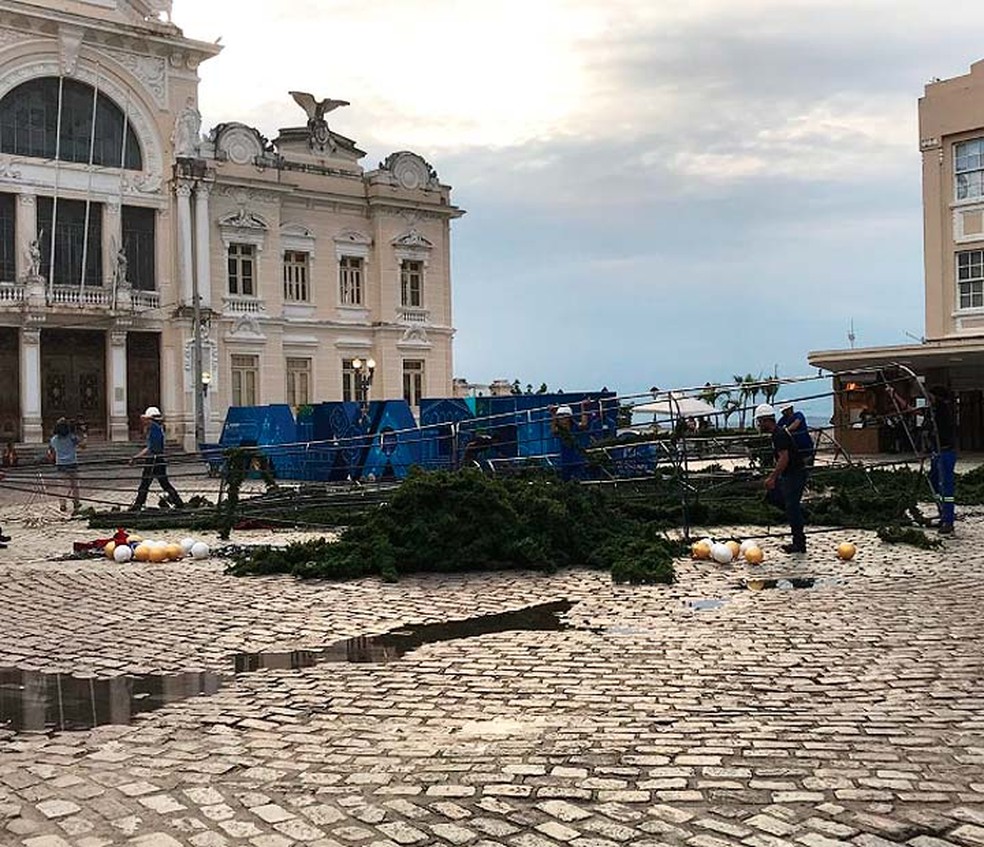 Árvore caiu, mas ninguém ficou ferido em Salvador — Foto: Vitor Silveira/TV Bahia