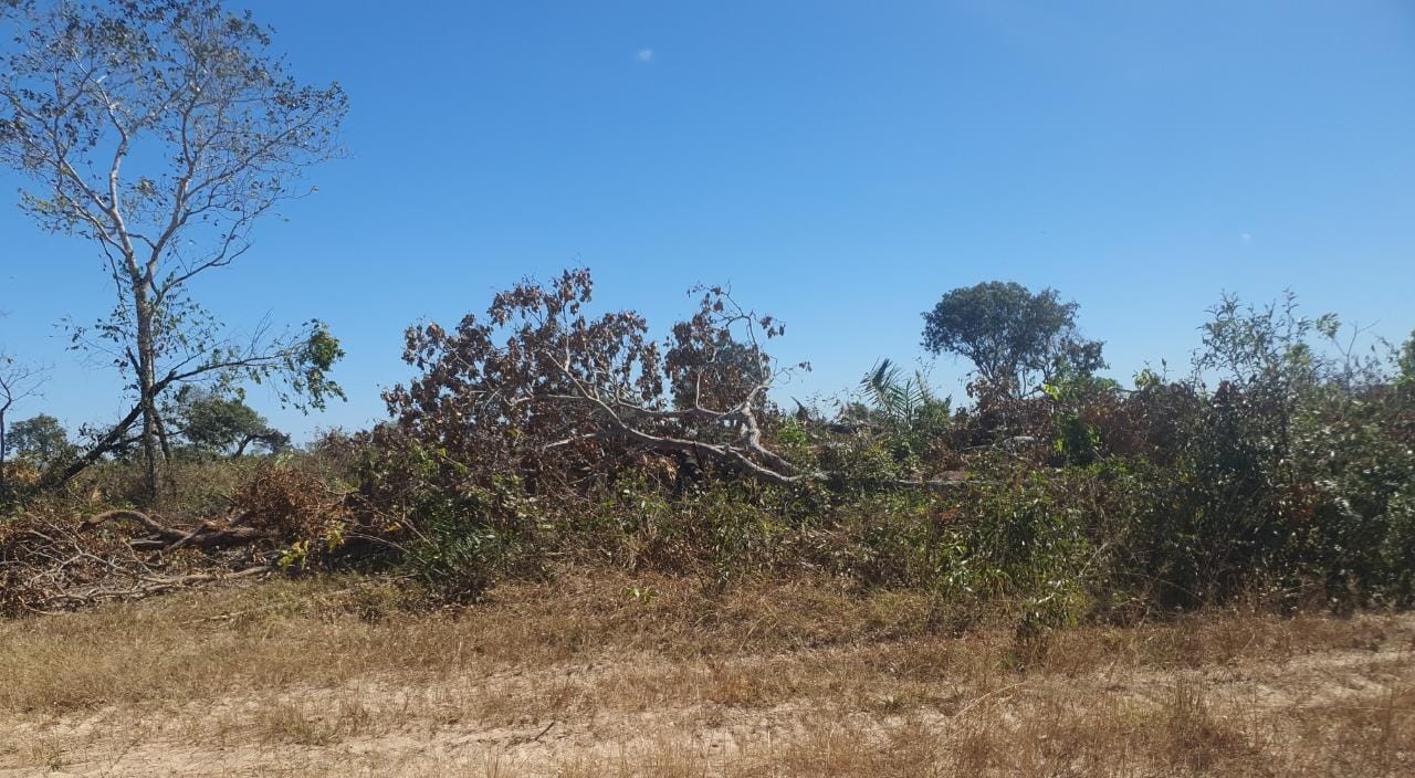 Dono de propriedade rural suspeito de desmatamento ilegal é multado em R$ 970 mil em MT