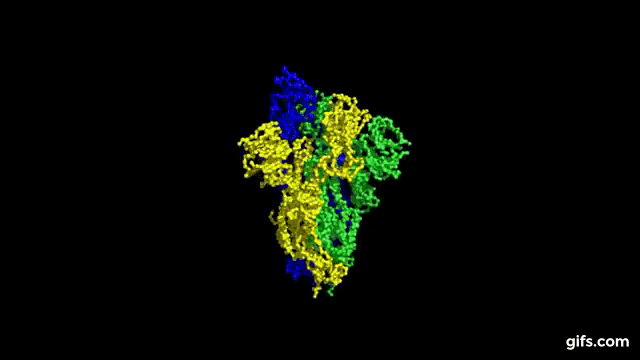 Vibração da proteína do Sars-CoV-2 é mecanismo essencial para infecção das células (Foto: Reprodução YouTube/Markus J. Buehler)
