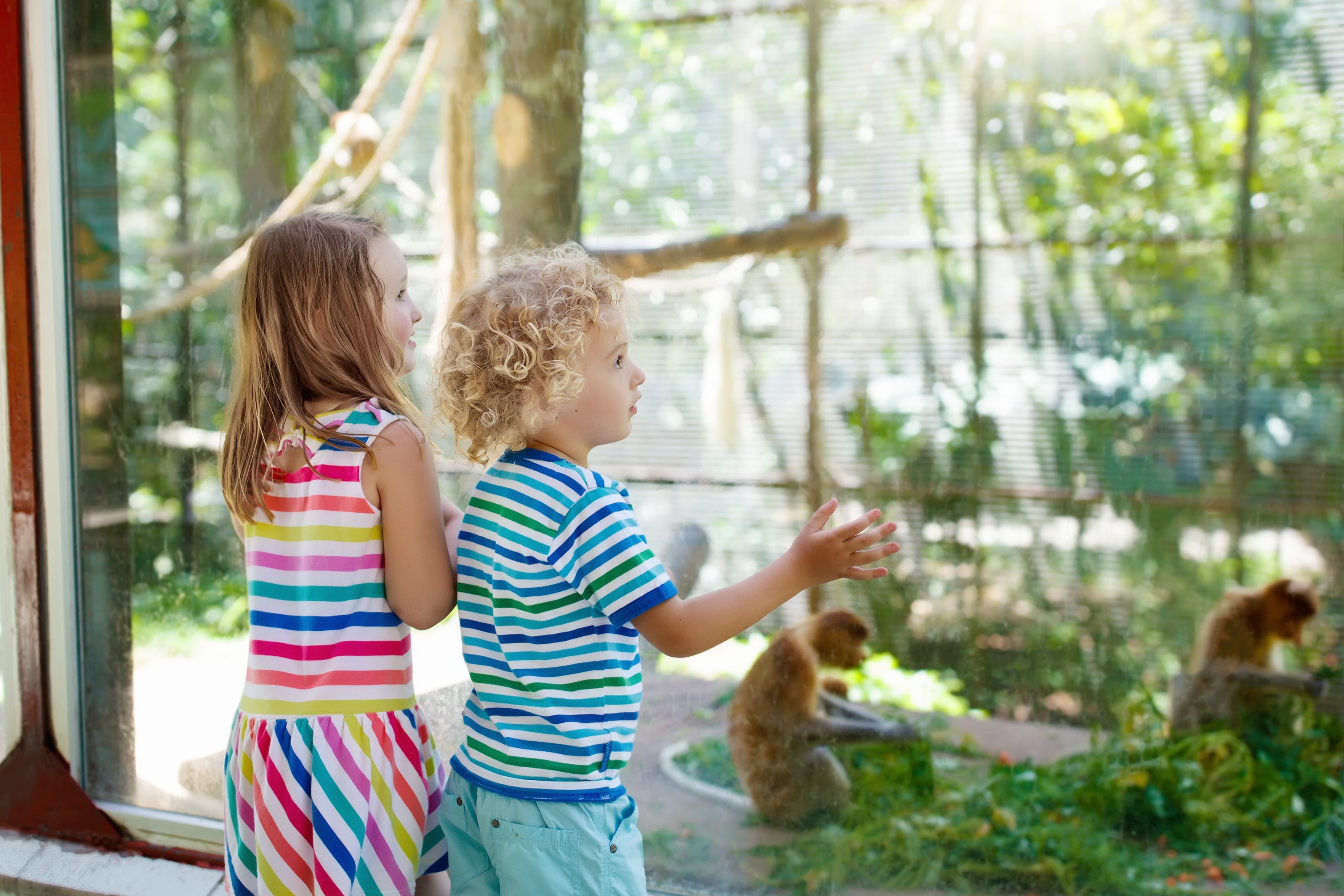 A técnica utilizada para dar risada é comum entre macacos e bebês pequenos (Foto: Thinkstock)