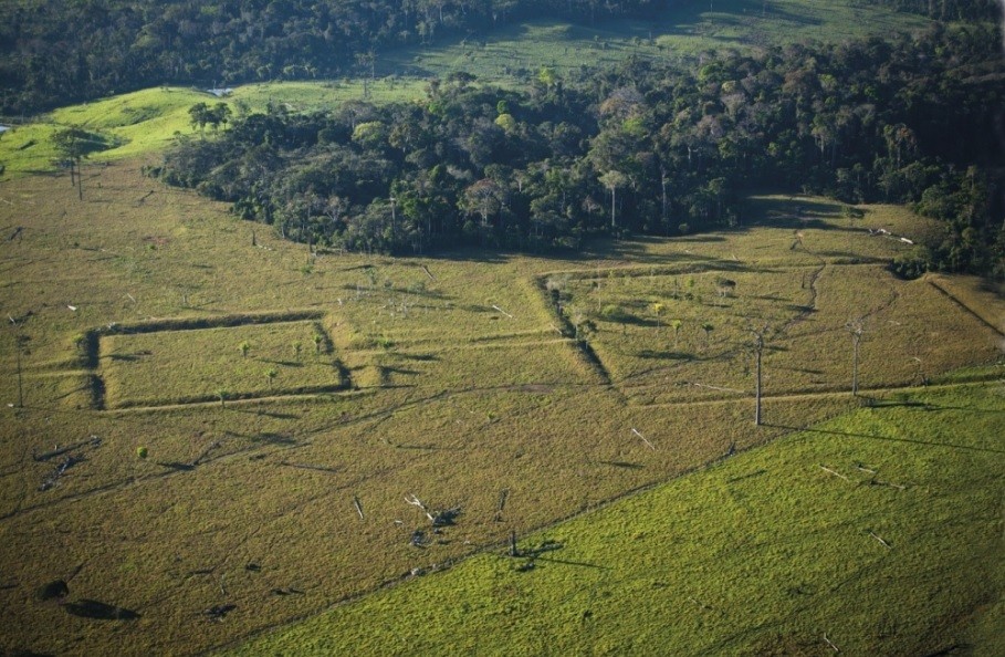 Amazônia teve até 10 milhões de habitantes há 8 mil anos, revela livro (Foto: Divulgação)