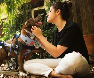 A psicóloga Sophia Porto e seu cachorro Marrom, cadeirante 