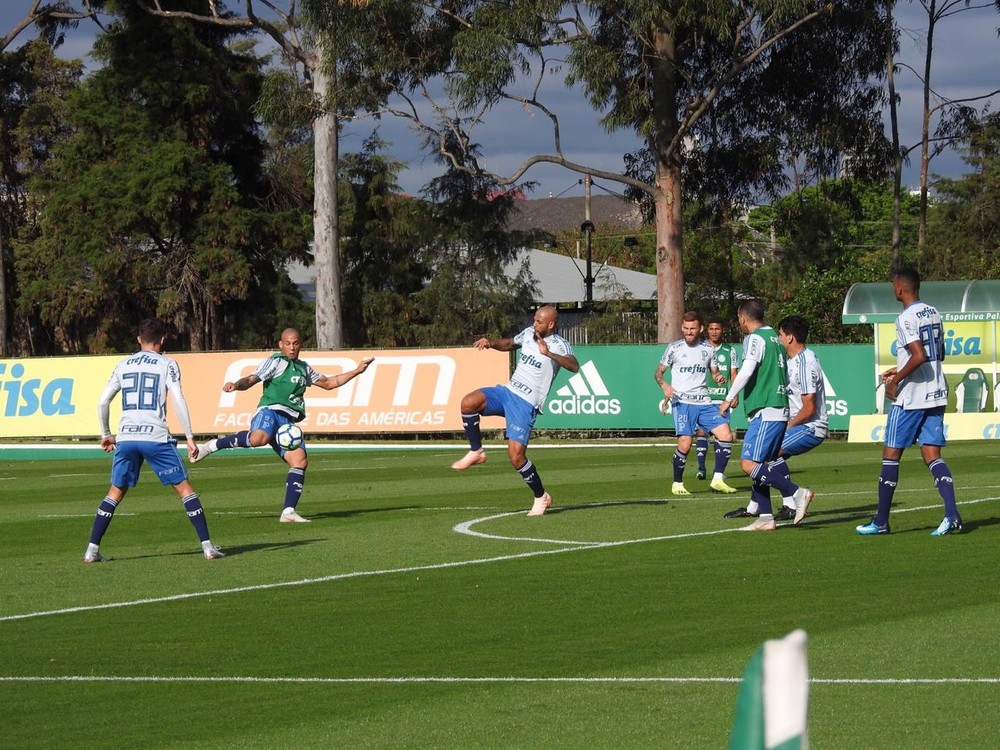 Palmeiras treina com destaques do sub-20; Diogo Barbosa corre em campo