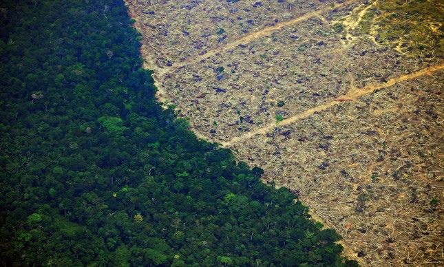 Foto da Amazônia em 23 de agosto de 2019