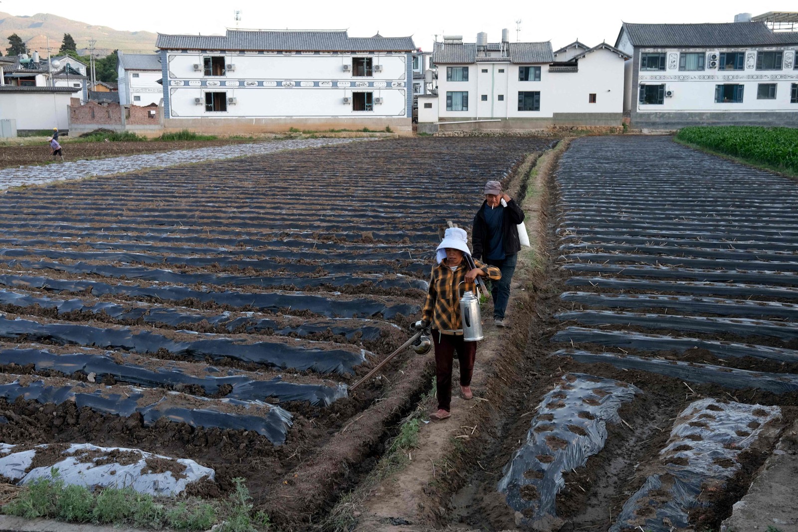 Agricultores cuidam de fazendas na histórica cidade mercantil de Shaxi, província chinesa de Yunnan, onde a praça do mercado foi adicionada à lista de observação de monumentos mundiais dos 100 locais mais ameaçados em 2001  — Foto: AFP