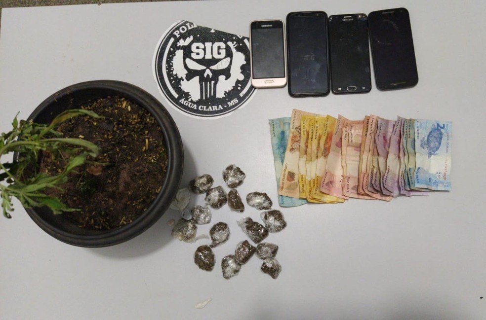 Celulares, porções de droga, pé de maconha e dinheiro apreendidos com os suspeitos ?? Foto: Polícia Civil/Divulgação