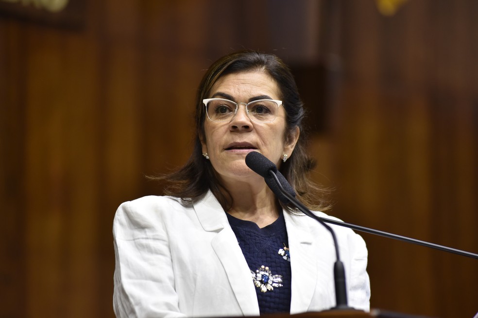 Stela Farias (PT) — Foto: Marcelo Bertani/Agência ALRS