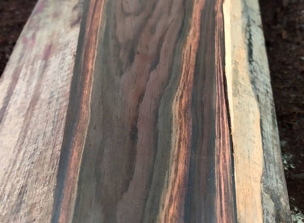 A madeira jacarandá, fornecida pela Brasigran e beneficiada pela Elemento Z, está no troféu do Prêmio Casa e Jardim 2020 (Foto: Reprodução/Instagram ElementoZ)