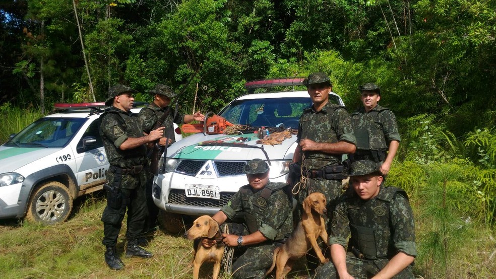 Cães com sinais de maus tratos foram resgatados pelos policiais em Iguape, SP (Foto: Divulgação/Polícia Militar Ambiental)
