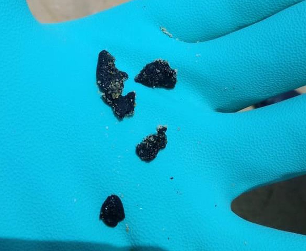Fragmentos de óleo recolhidos em praia de São João da Barra, no RJ,  — Foto: Divulgação/Marinha do Brasil