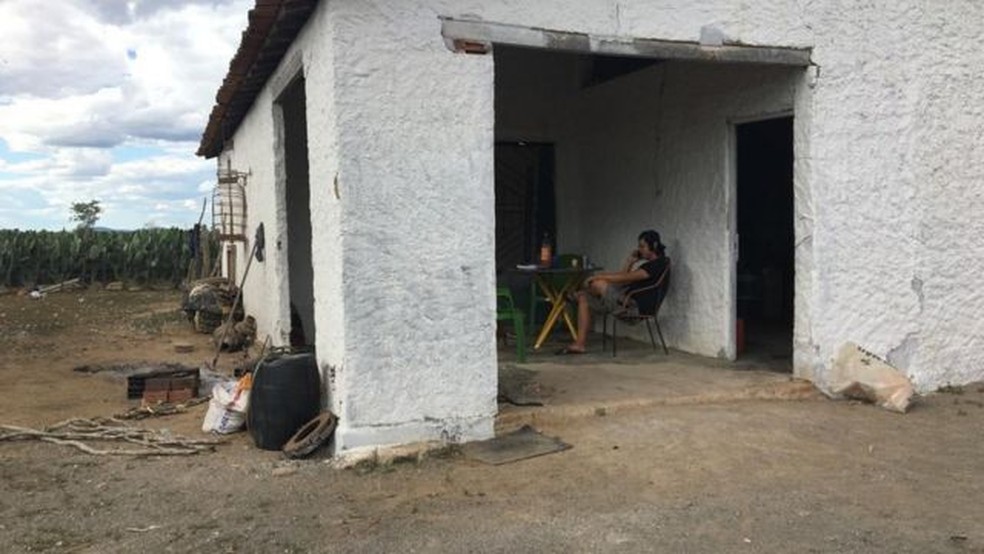 Dois imigrantes chineses foram encontrados em fazenda com centenas de jumentos em estado de maus-tratos em 2019 — Foto: PATRÍCIA TATEMOTO