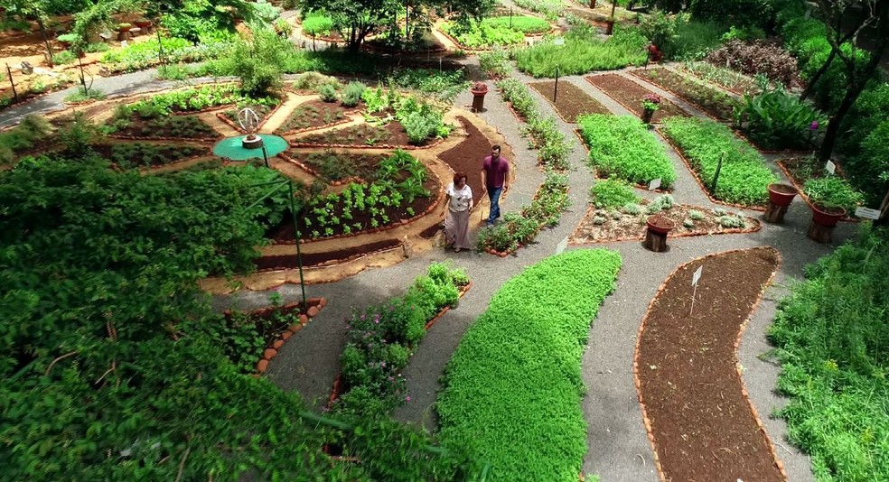 Confira As Atracoes Do Terra Da Gente De Sabado 04 04 Terra Da