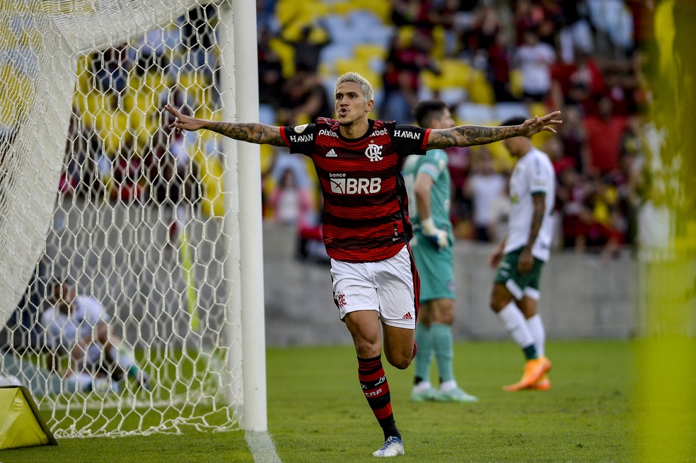 Pedro abre os braços para comemorar o gol do Flamengo contra o Goiás — Foto: Marcelo Cortes/Flamengo