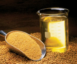 Abiove eleva projeção para produção de farelo e óleo de soja