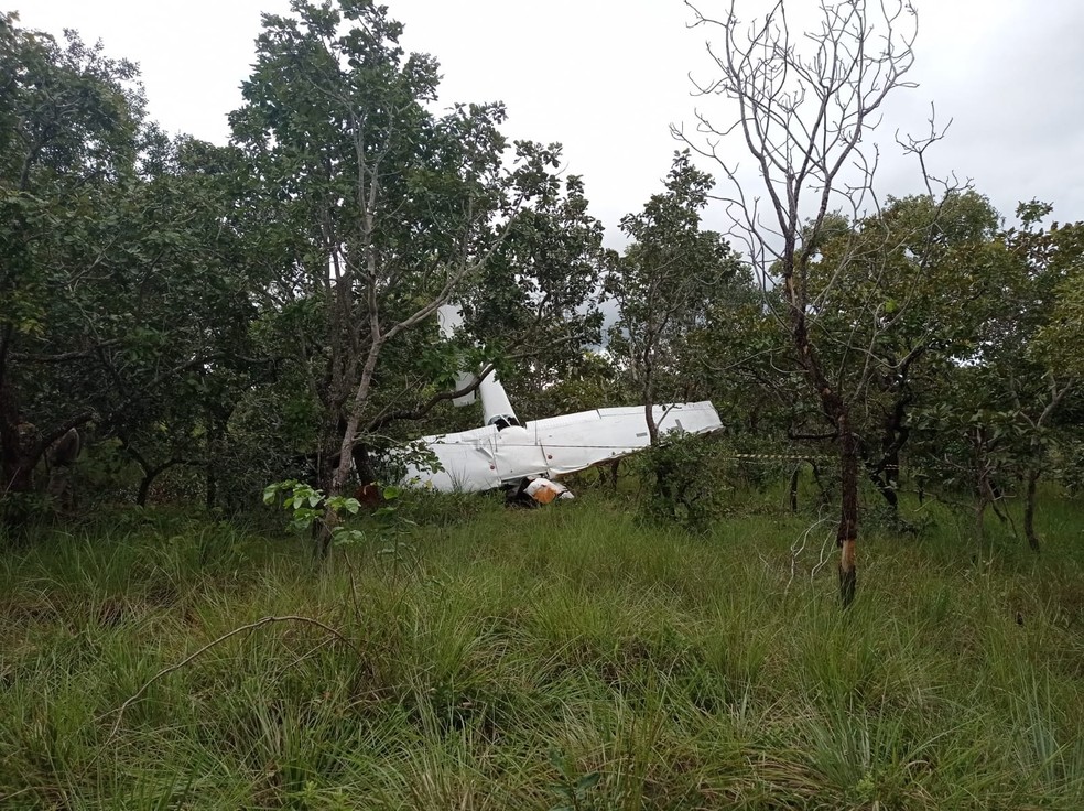 Aeronave caiu em uma região de mata — Foto: Divulgação/Bombeiros