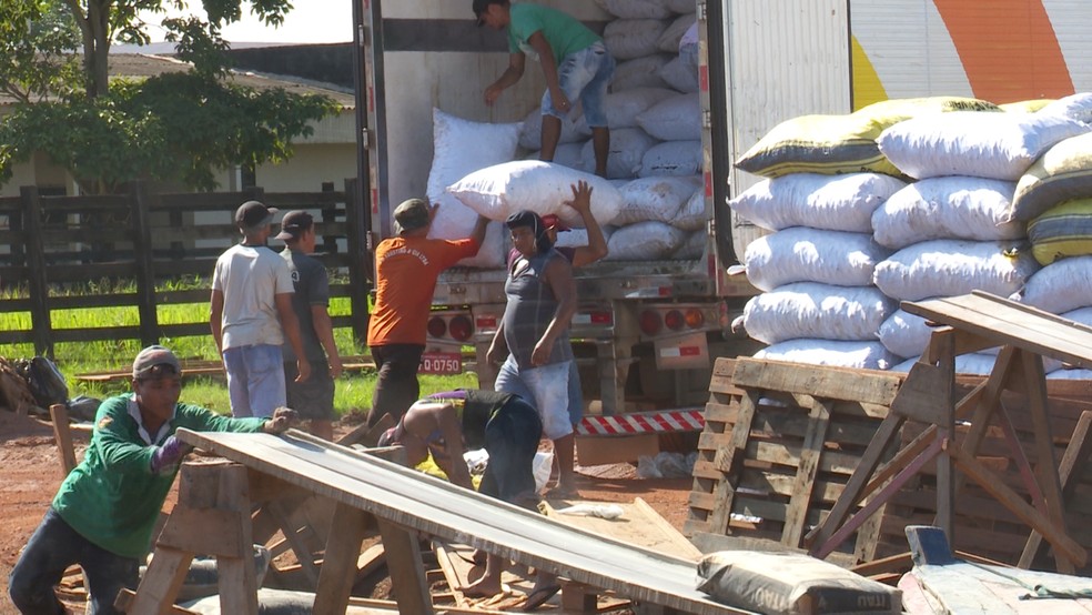 Serviço de exportação movimenta 6 milhões de dólares na região, diz Associação Comercial  (Foto: Rede Amazônica / reprodução )