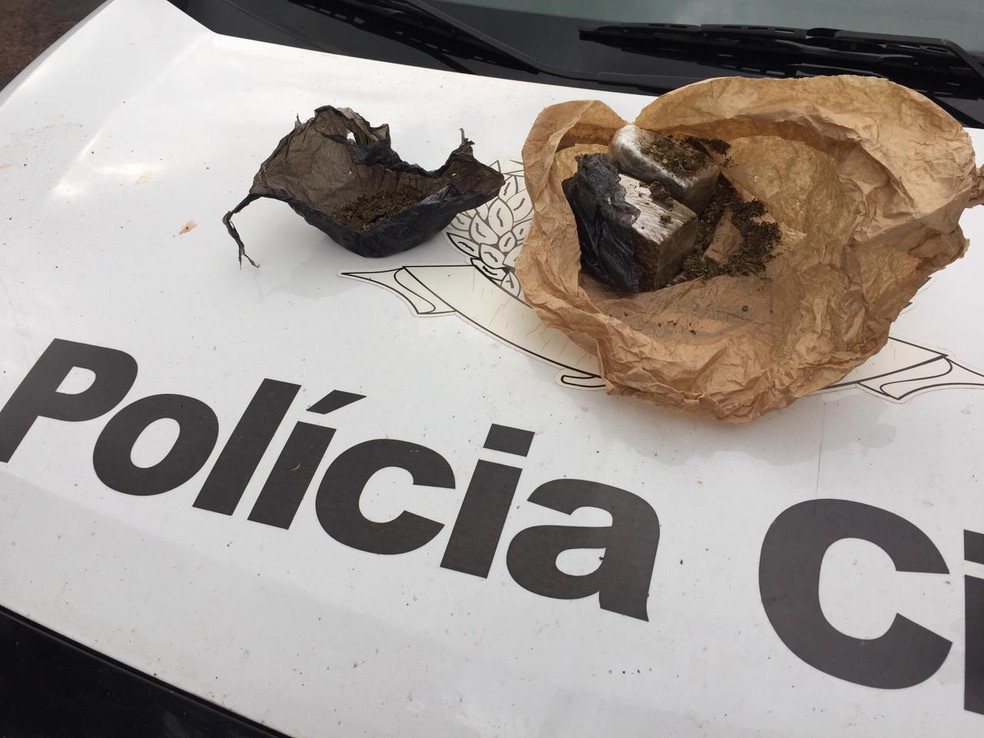 Operação Canis foi realizada em Pirapozinho, Presidente Prudente e Bauru — Foto: Murilo Zara/TV Fronteira