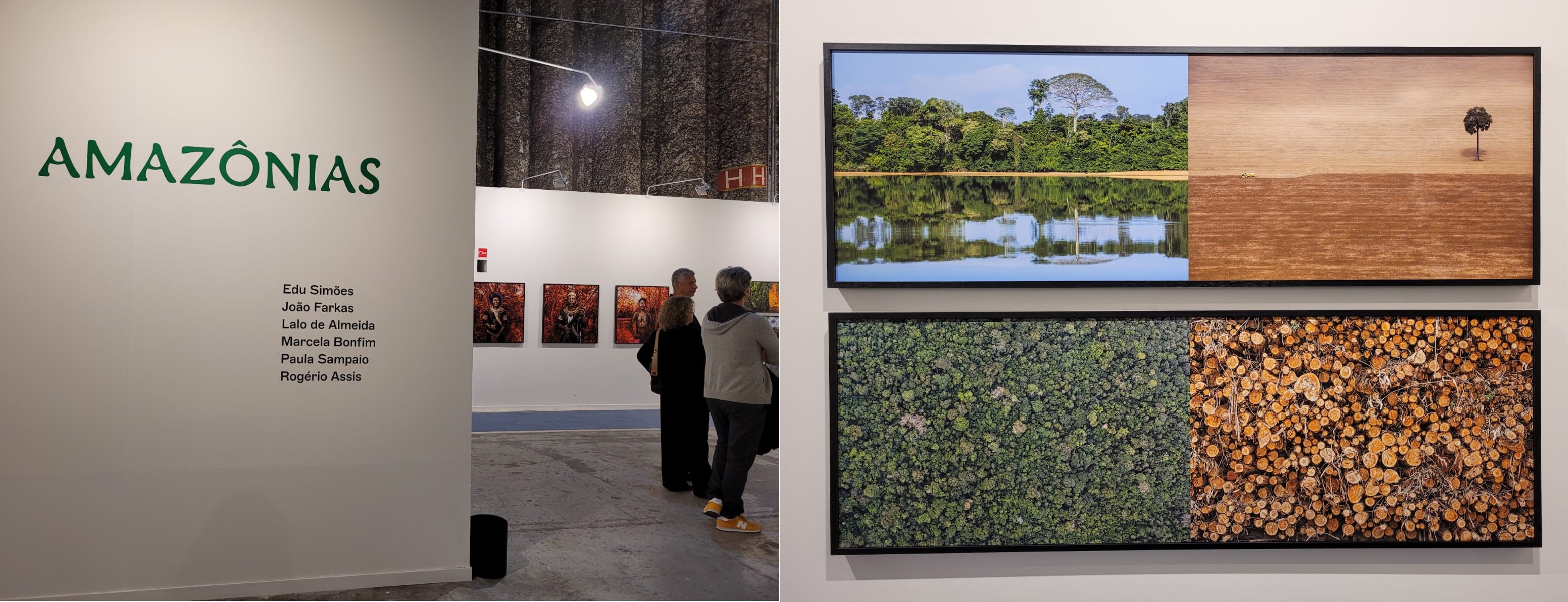 SP-Arte: maior feira de arte do país traz exposição sobre a Amazônia (Foto: Laura Moraes)
